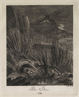 KG 01077
          <br/>
          Entwurf einiger Thiere. Fünfter Theil. (18 bladen)
          <br/>
          <em>Ridinger, Johann Elias (1698-1767)</em>
